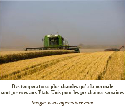 R&eacute;colte du ma&iuml;s en cours 31 ao&ucirc;t 2010